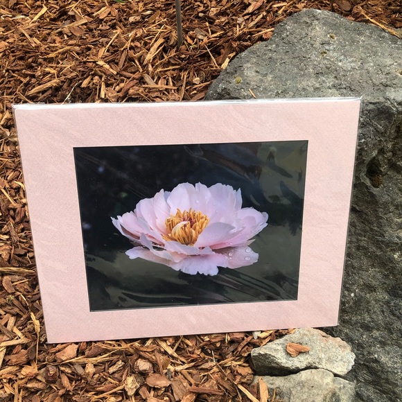 Photographic Art Peony - Picture 1 of 1